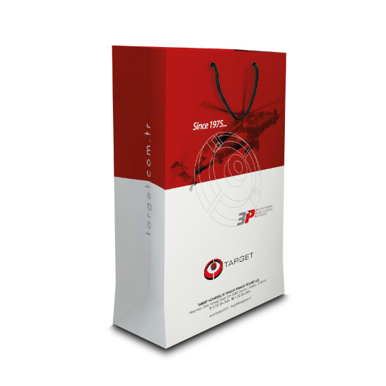 ALA-54 BÜYÜK BOY DİKEY KARTON ÇANTA(36x23x10.5 cm) - KARTON ÇANTA kurumsal hediyelikler